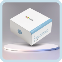 10 Cluster Detox Salz 5x2