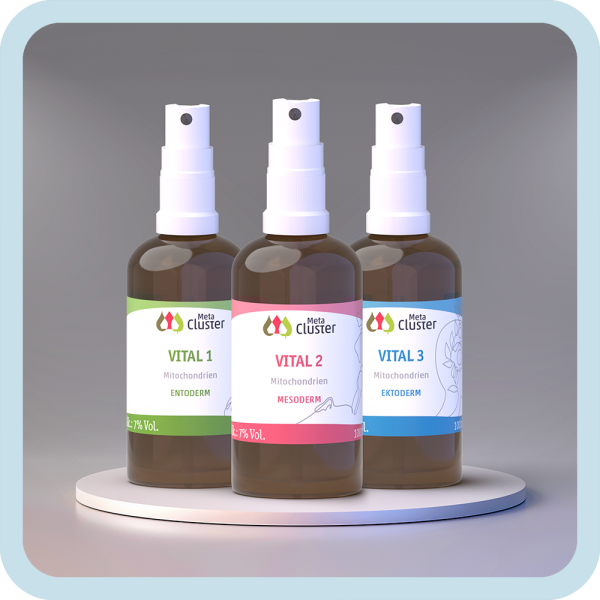 Cluster Vital Mitochondrien Kur 3x100 ml